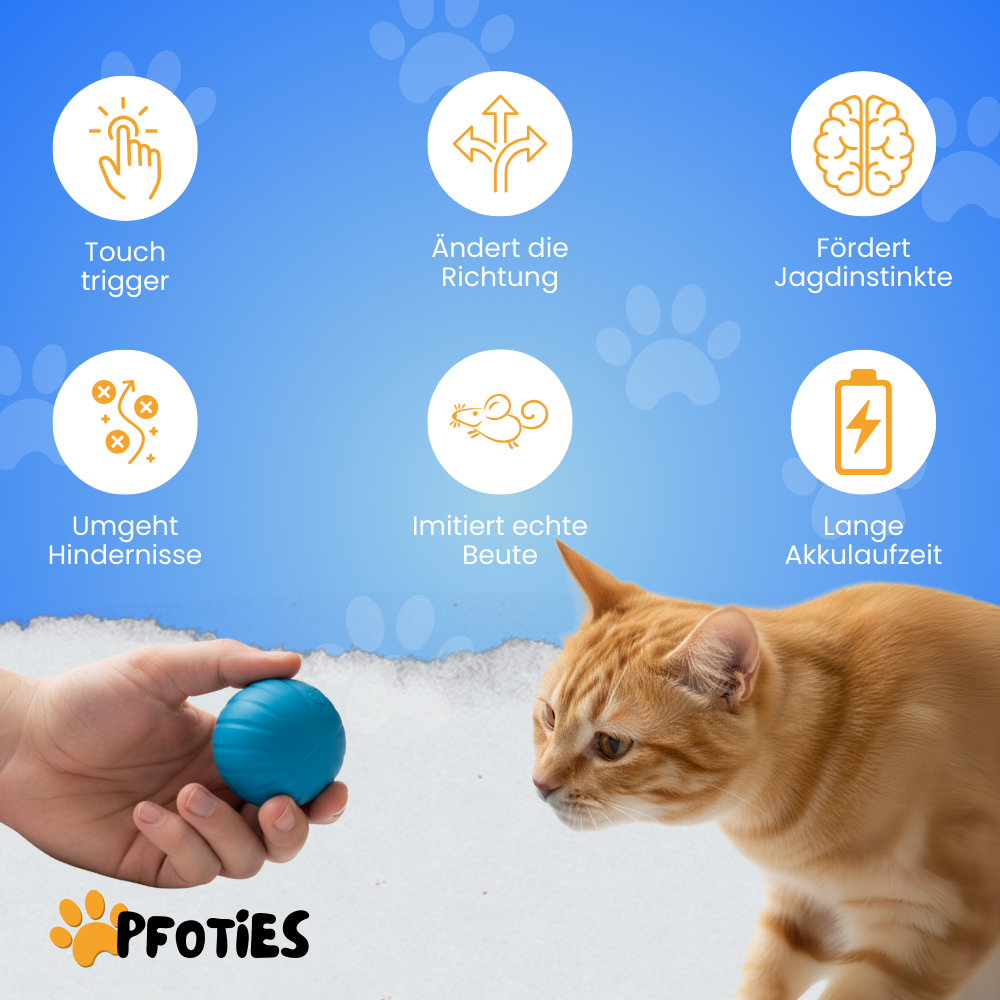 Powerball – Der rollende Spielspaß für Katzen