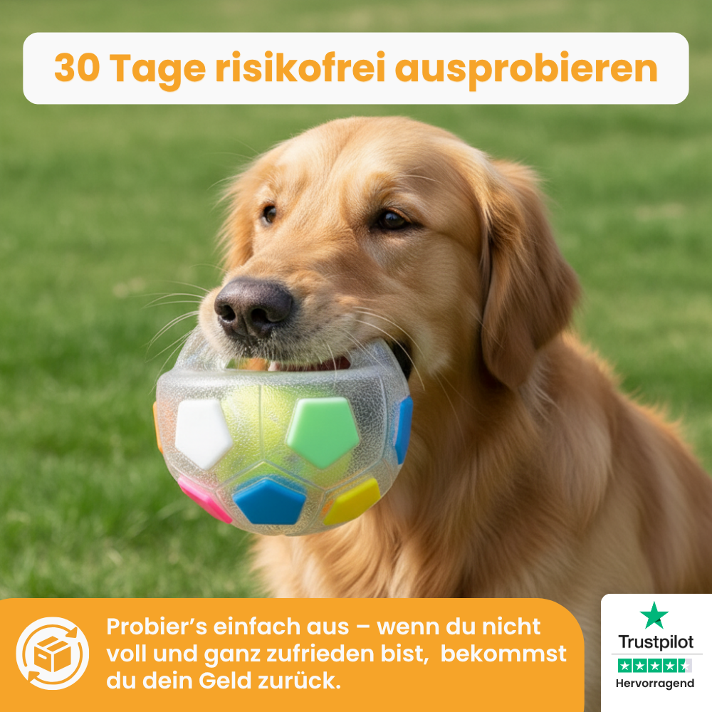 Der Pfoties® Anti-Stress-Ball ist ein robustes, beruhigendes Hundespielzeug mit stabilem Griff und sichtbarem Tennisball im Inneren. Perfekt zum Kauen, Tragen und Stressabbau – aus langlebigem TPR-Material für glückliche Hunde.