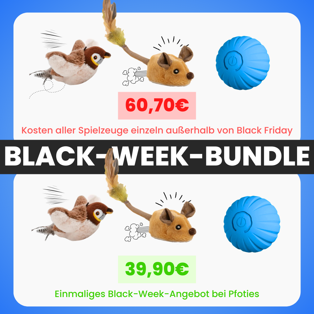 XXL-Black-Week Bestseller-Bundle