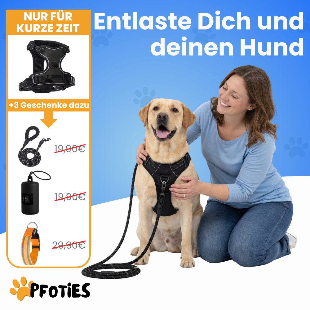 GassiHeld - Anti-Zieh-Geschirr