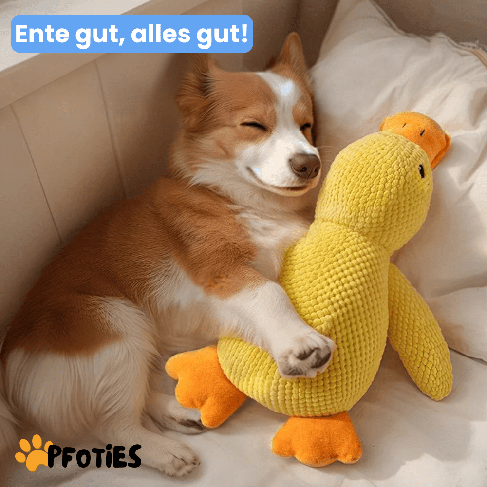 anti-stress-ente_pfoties_3