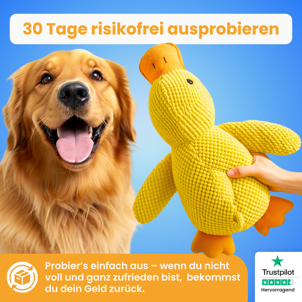 anti-stress-ente_pfoties_6