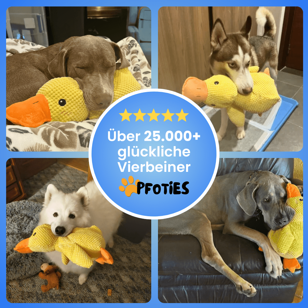 anti-stress-ente_pfoties_9