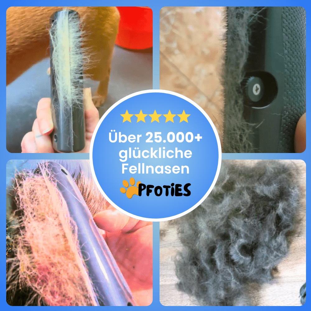 Fellbürste von Pfoties – entfernt lose Unterwolle und Verfilzungen sanft und effektiv. Geeignet für Hunde, sorgt für gepflegtes, gesundes Fell ohne Ziepen.