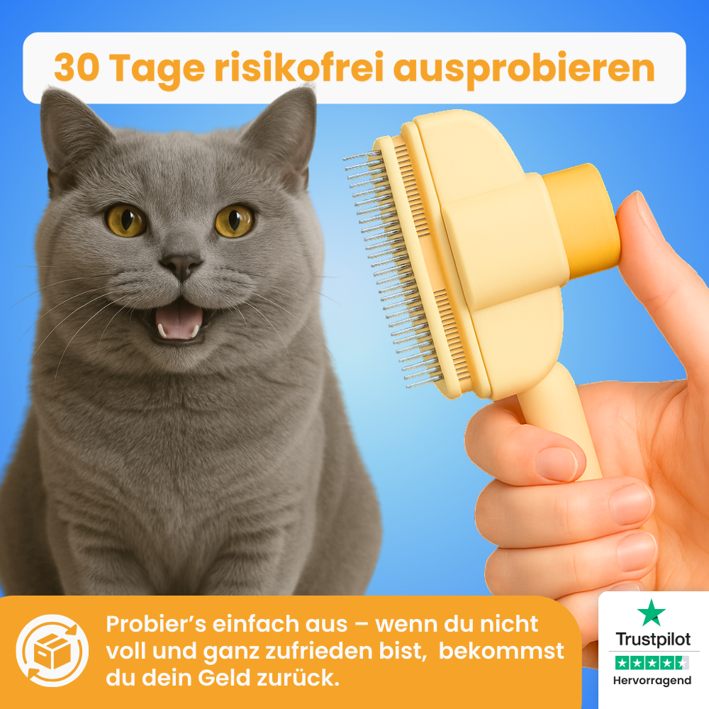 Fellklick-BĂŒrste von Pfoties â entfernt lose Unterwolle und Verfilzungen sanft und effektiv. Geeignet fĂŒr Katzen, sorgt fĂŒr gepflegtes, gesundes Fell ohne Ziepen.
