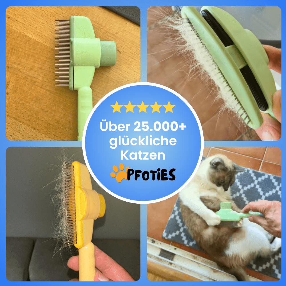 Fellklick-BĂŒrste von Pfoties â entfernt lose Unterwolle und Verfilzungen sanft und effektiv. Geeignet fĂŒr Katzen, sorgt fĂŒr gepflegtes, gesundes Fell ohne Ziepen.
