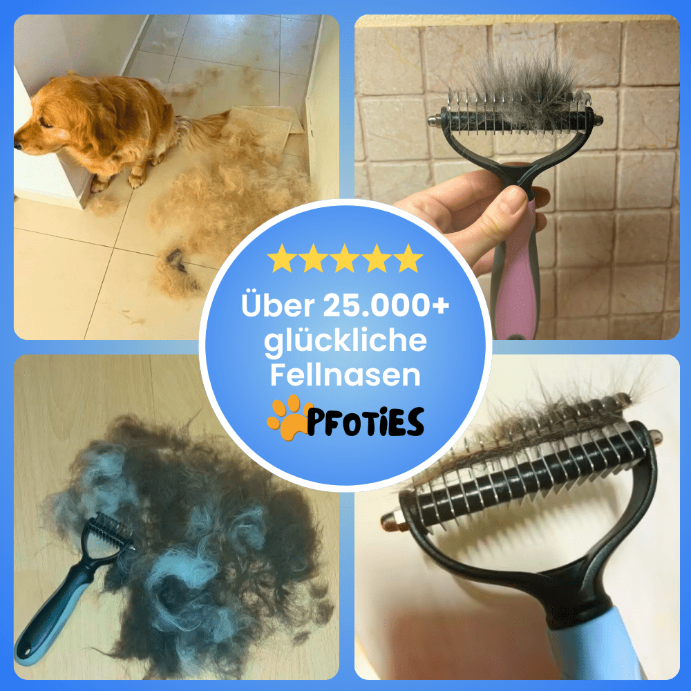Fellzauber_Pfoties_Review