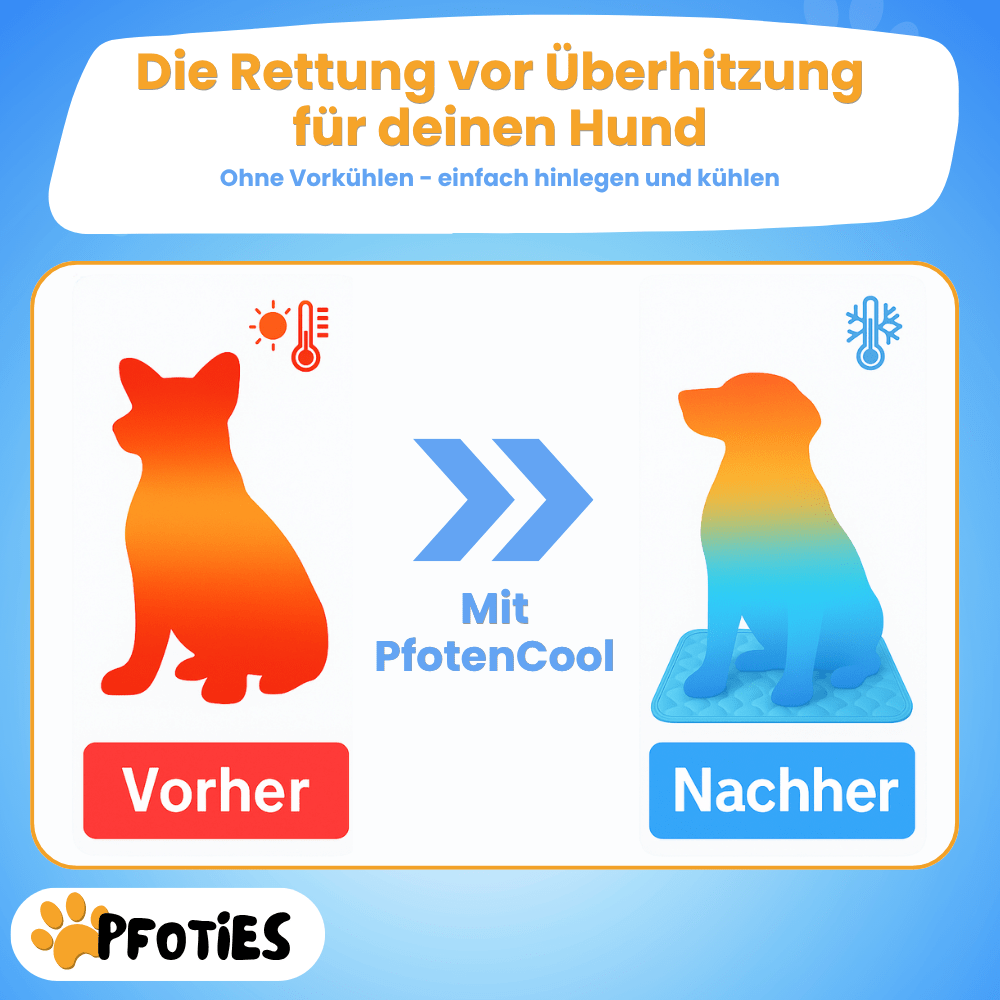 Kühlmatte_Pfoties_PfotenCool_3