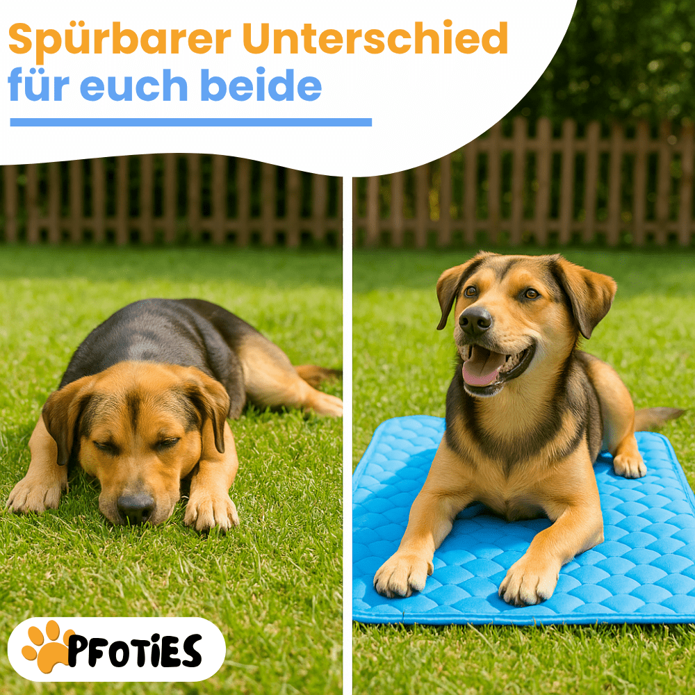 PfotenCool – Kühlt deinen Hund bei Hitze ganz von selbst