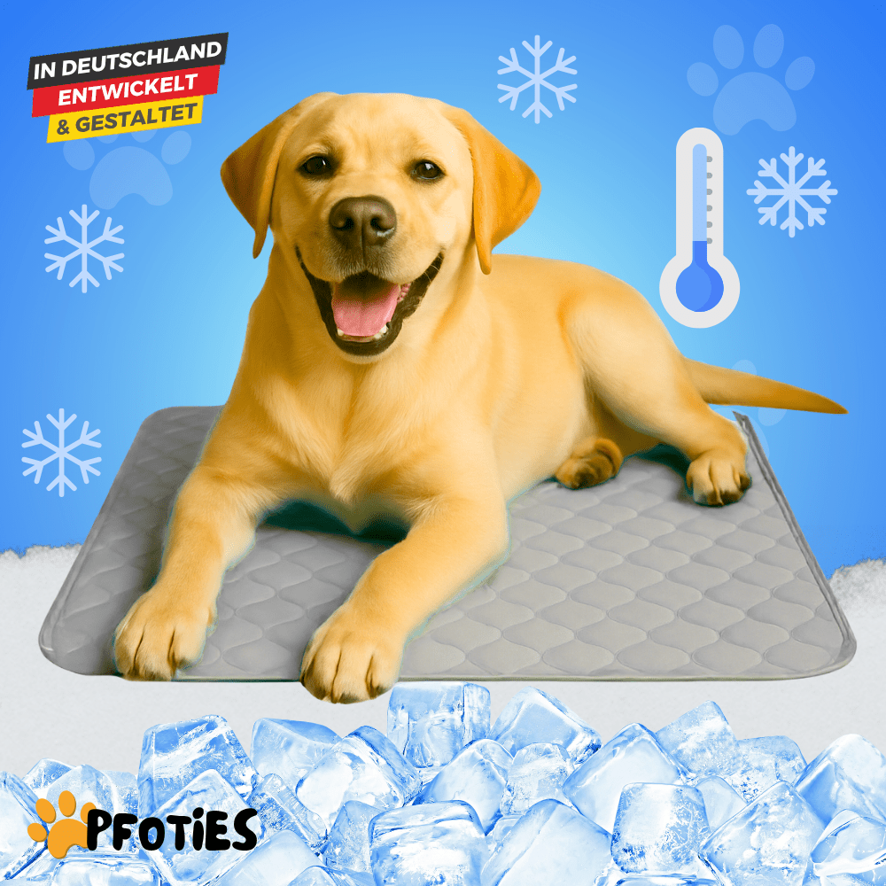 PfotenCool_-_Die_Kuehlmatte_fuer_Hunde_-_Pfoties_-_grau