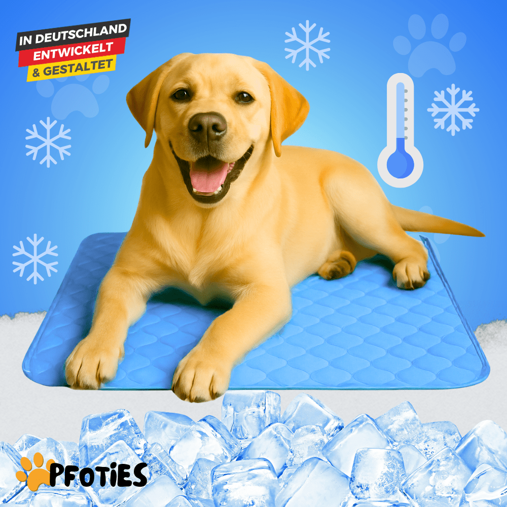 PfotenCool_-_Die_Kuehlmatte_fuer_Hunde_-_Pfoties_-_blau