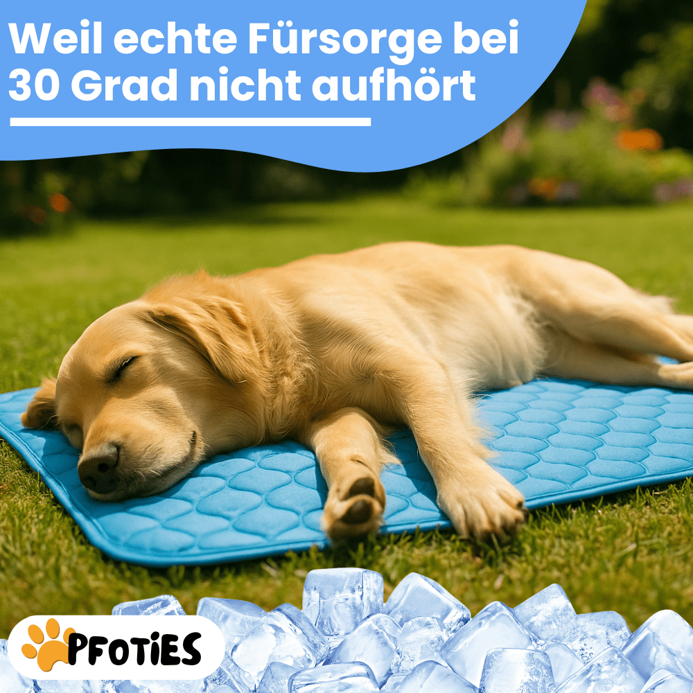 PfotenCool – Kühlt deinen Hund bei Hitze ganz von selbst