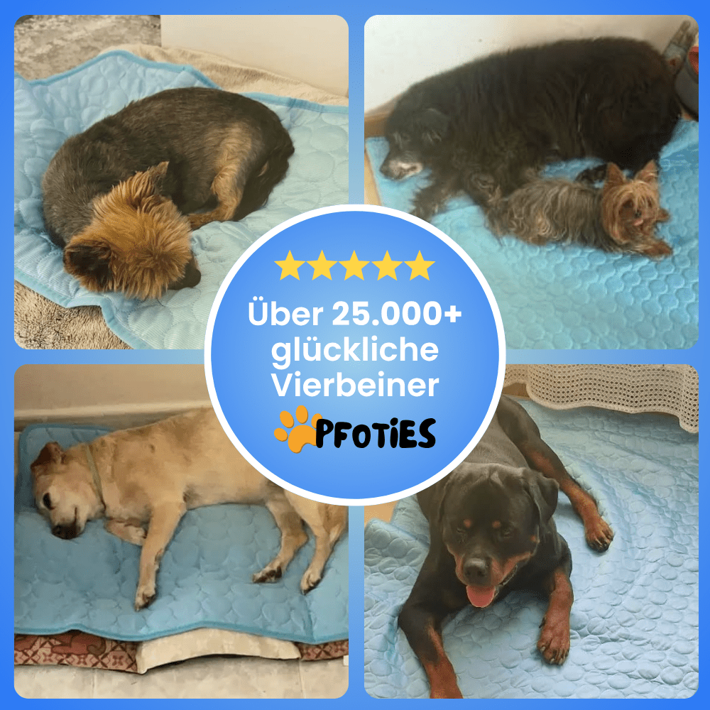 PfotenCool_Kühlmatte_Pfoties