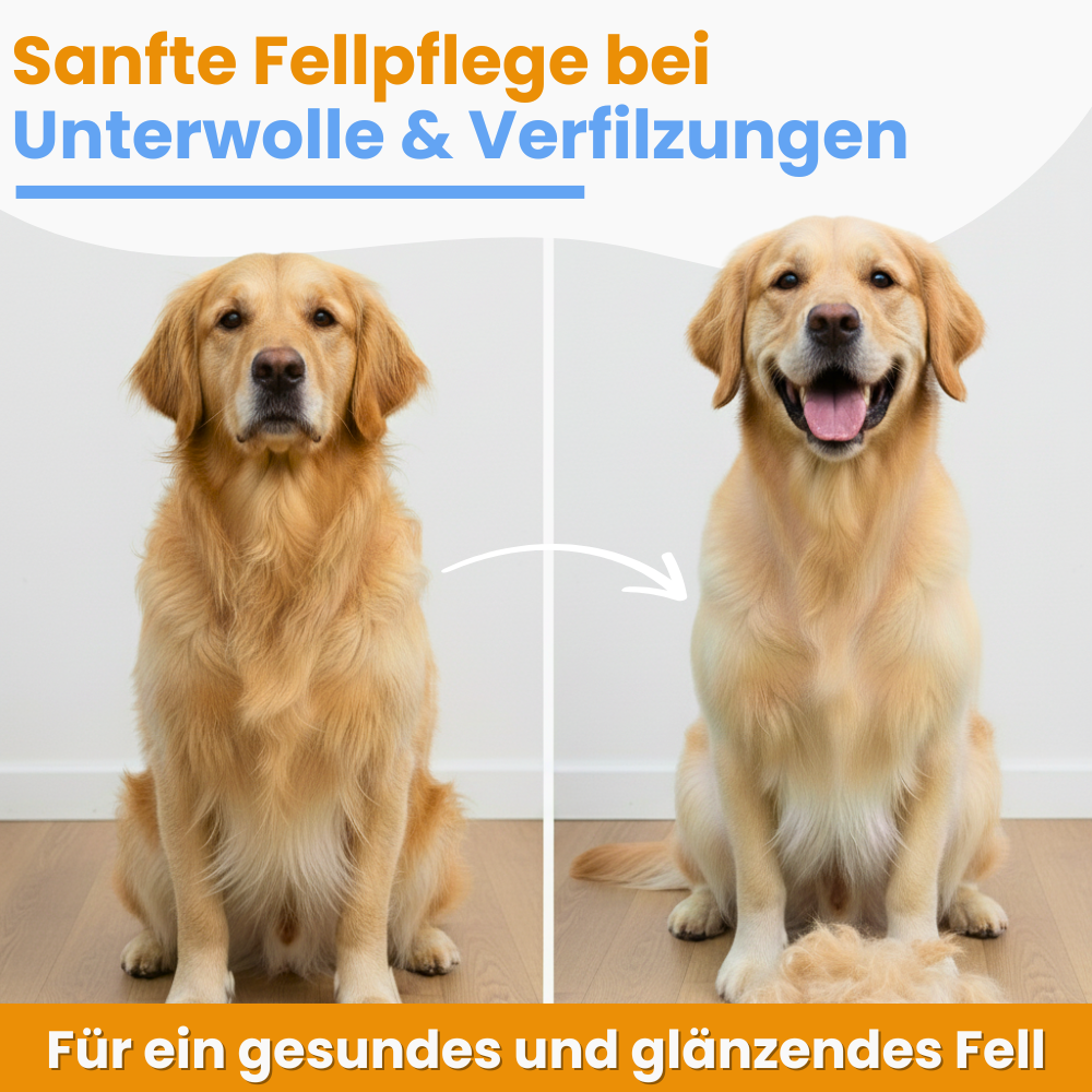 Vorher-nachher Vergleich von einem Hund: links mit viel losem Fell, rechts sichtbar gepflegter und glatter – das Bürsten sorgt für weniger Haare und ein gepflegtes Aussehen.