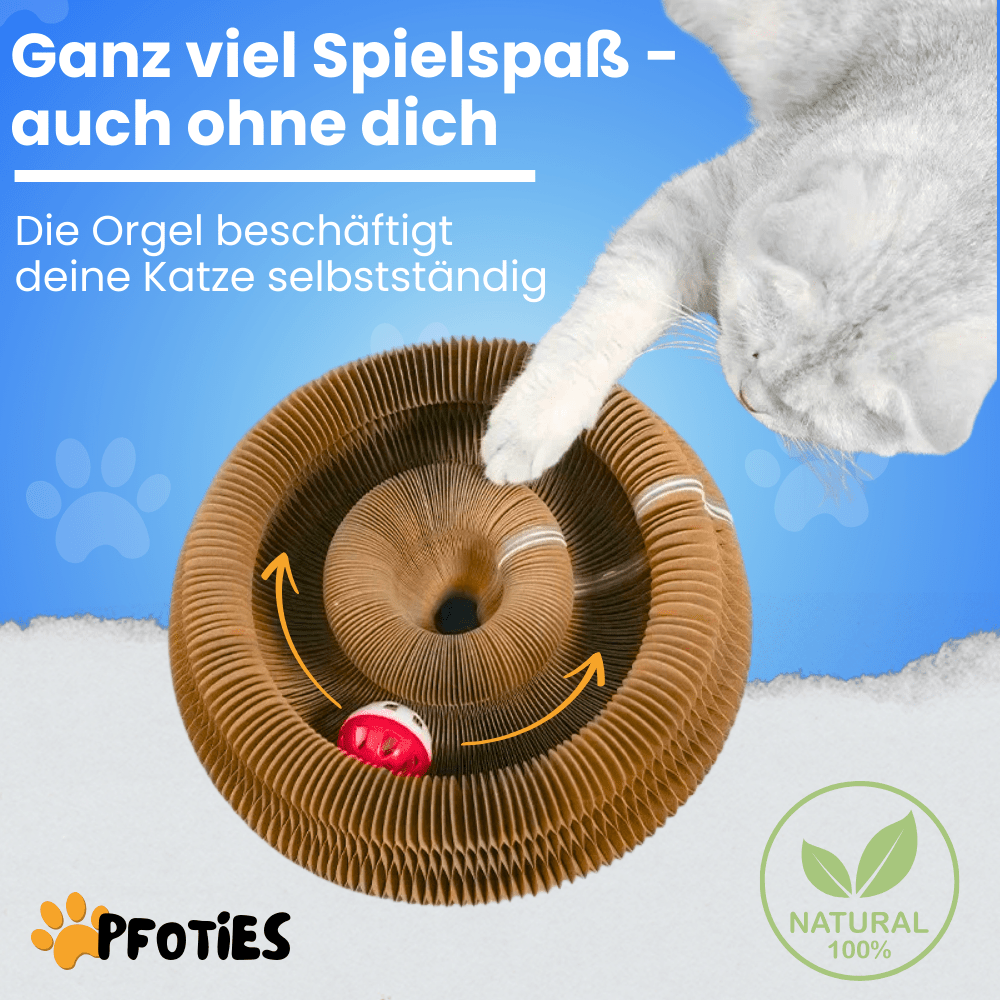 Wunderorgel für Katzen Pfoties™