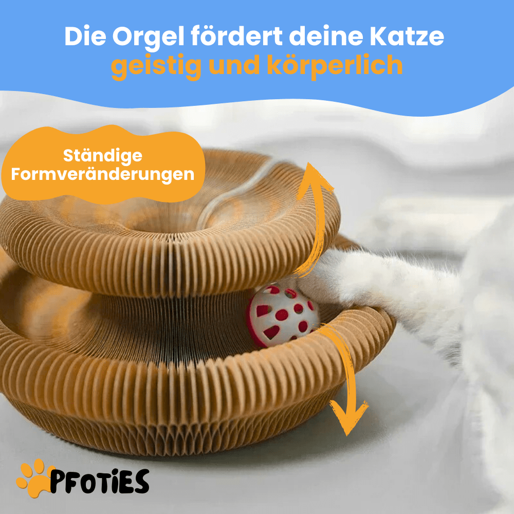 Wunderorgel für Katzen Pfoties™