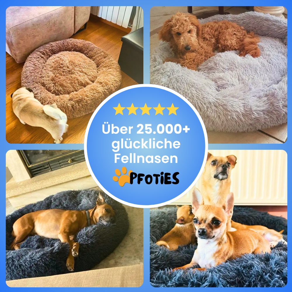 Hundebett PfotenTraum - Schlafen wie auf Wolken