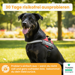 Das Pfoties® personalisierte Hundegeschirr ist ein hochwertiges, individuell bedruckbares Geschirr für Hunde aller Größen. Es bietet durch den festen Sitz, gepolsterte Innenseiten und robuste Schnallen optimalen Tragekomfort und Sicherheit. Auf der Außenseite lässt sich der Name des Hundes sowie eine Telefonnummer gut sichtbar aufdrucken, damit Finder bei einem entlaufenen Hund sofort Kontakt aufnehmen können. Zusätzlich sorgt ein reflektierender Streifen für gute Sichtbarkeit im Dunkeln.