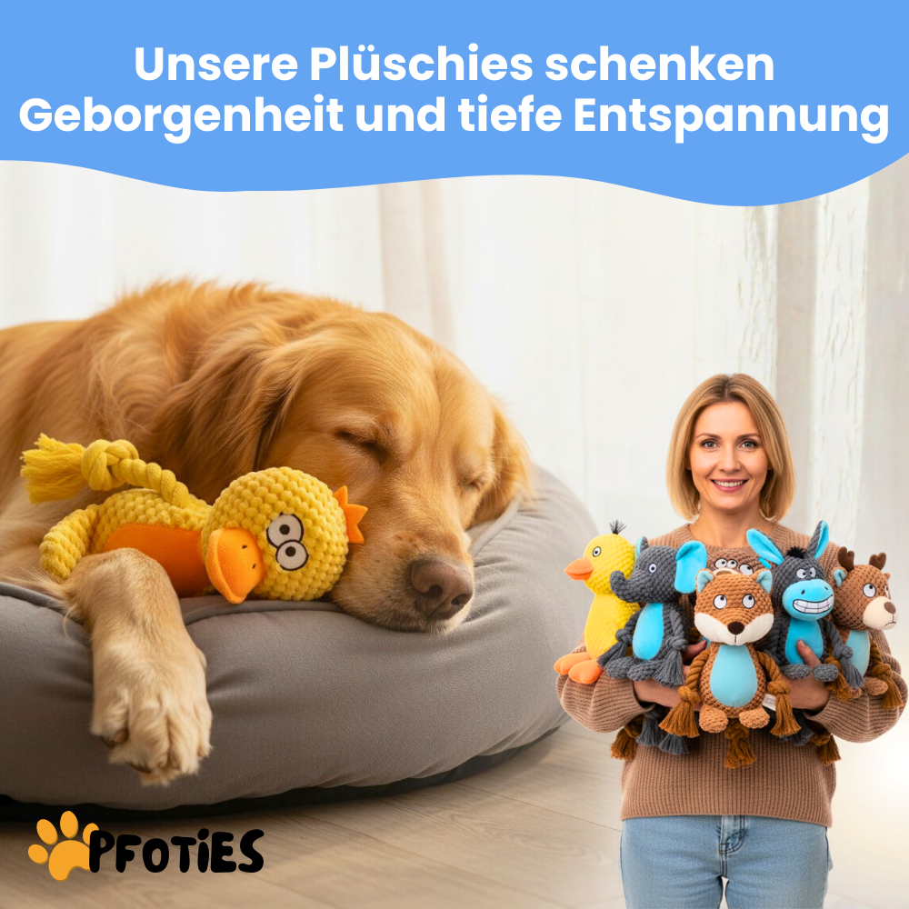 PflegeHeld – Das Rundum-Sorglos-Set