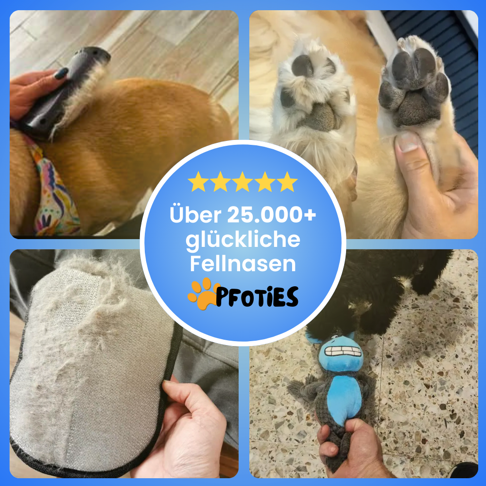 PflegeHeld – Das Rundum-Sorglos-Set