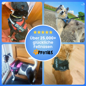 Das Pfoties® personalisierte Hundegeschirr ist ein hochwertiges, individuell bedruckbares Geschirr für Hunde aller Größen. Es bietet durch den festen Sitz, gepolsterte Innenseiten und robuste Schnallen optimalen Tragekomfort und Sicherheit. Auf der Außenseite lässt sich der Name des Hundes sowie eine Telefonnummer gut sichtbar aufdrucken, damit Finder bei einem entlaufenen Hund sofort Kontakt aufnehmen können. Zusätzlich sorgt ein reflektierender Streifen für gute Sichtbarkeit im Dunkeln.