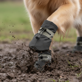 Pfotenschutz – Für saubere & warme Pfoten (4 Stk.)