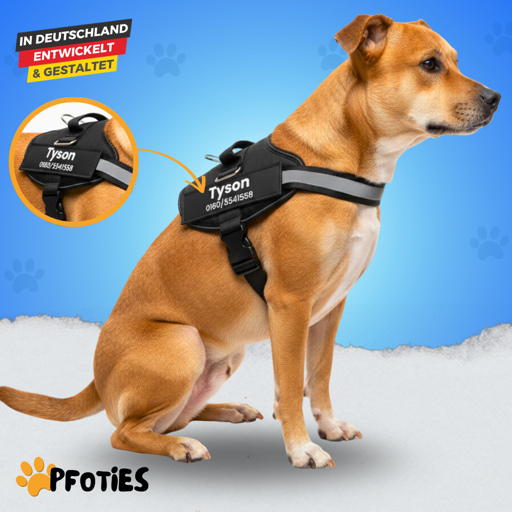 Das Pfoties® personalisierte Hundegeschirr ist ein hochwertiges, individuell bedruckbares Geschirr für Hunde aller Größen. Es bietet durch den festen Sitz, gepolsterte Innenseiten und robuste Schnallen optimalen Tragekomfort und Sicherheit. Auf der Außenseite lässt sich der Name des Hundes sowie eine Telefonnummer gut sichtbar aufdrucken, damit Finder bei einem entlaufenen Hund sofort Kontakt aufnehmen können. Zusätzlich sorgt ein reflektierender Streifen für gute Sichtbarkeit im Dunkeln.