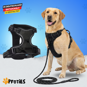 GassiHeld - Anti-Zieh-Geschirr