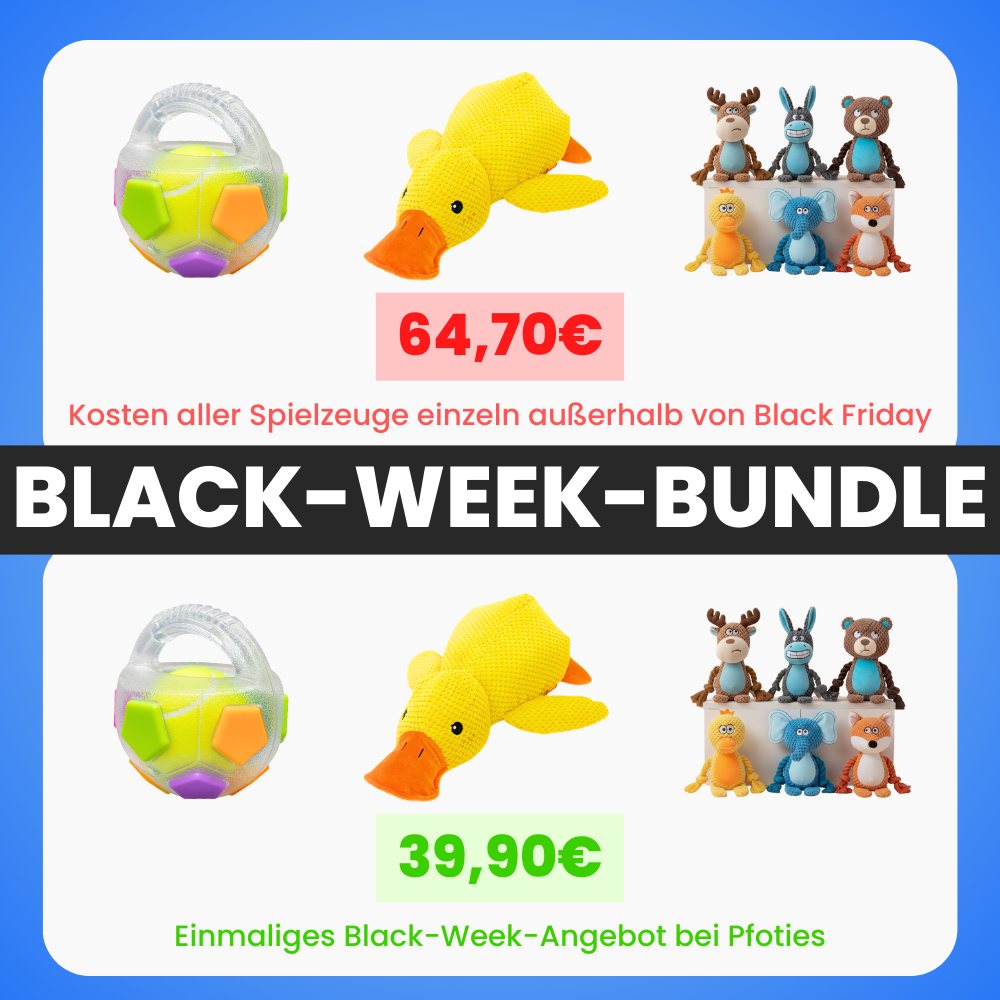 XXL-Black-Week Bestseller-Bundle
