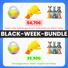 XXL-Black-Week Bestseller-Bundle
