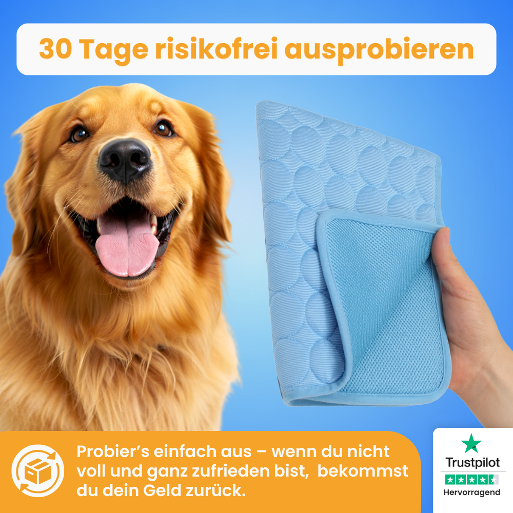 PfotenCool – Kühlt deinen Hund bei Hitze ganz von selbst