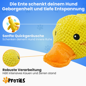 XXL-Black-Week Bestseller-Bundle