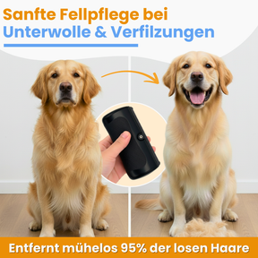 PflegeHeld – Das Rundum-Sorglos-Set