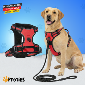 GassiHeld - Anti-Zieh-Geschirr