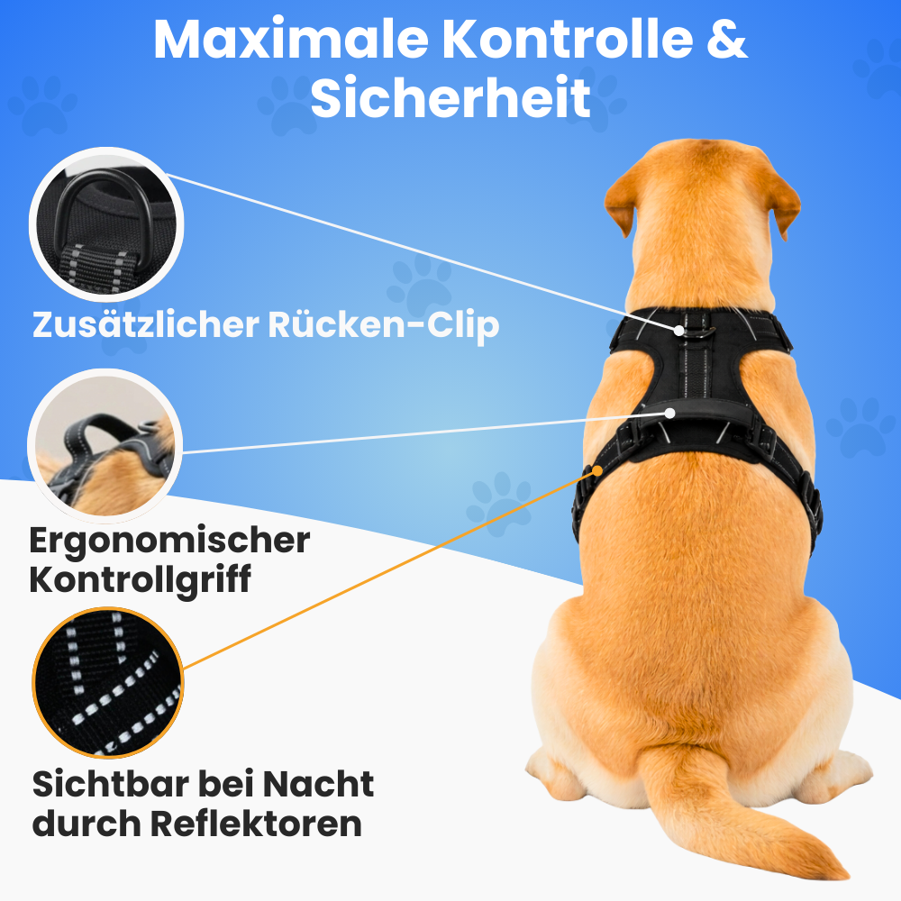 GassiHeld - Anti-Zieh-Geschirr