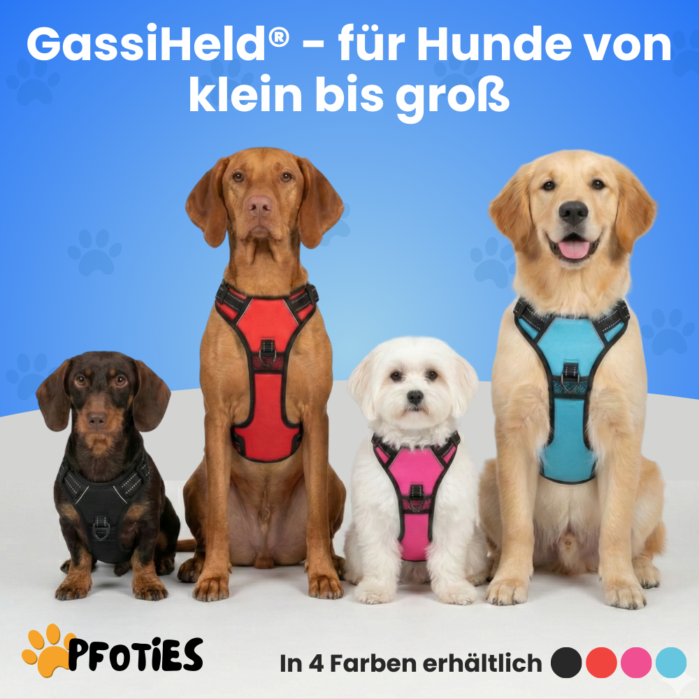 GassiHeld - Anti-Zieh-Geschirr