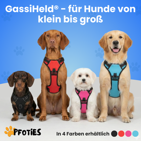 GassiHeld - Anti-Zieh-Geschirr