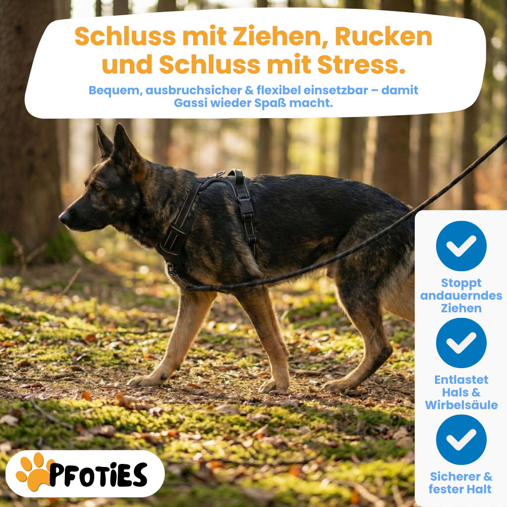 GassiHeld - Anti-Zieh-Geschirr