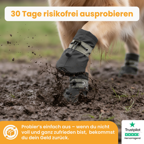 Pfotenschutz – Für saubere & warme Pfoten