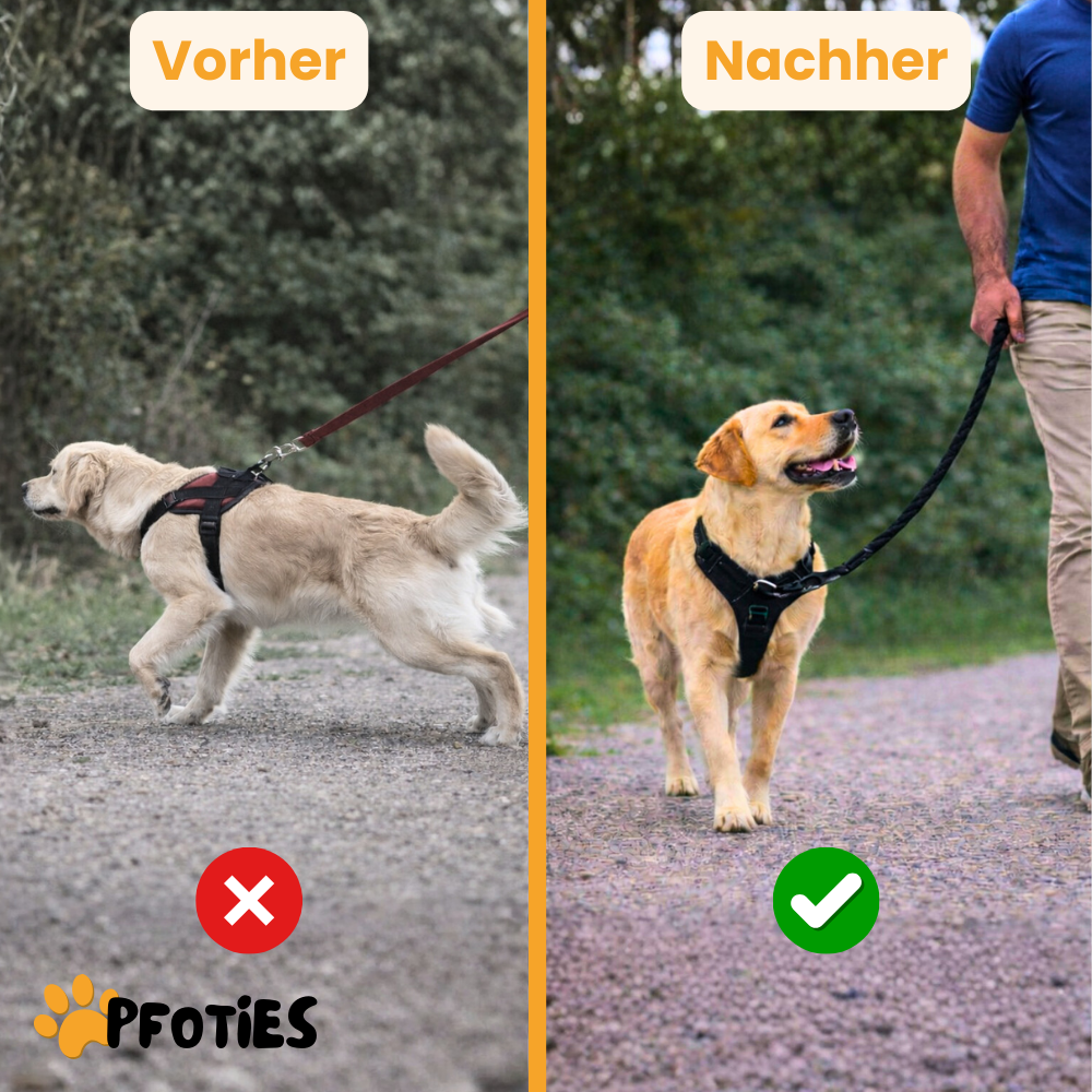 GassiHeld - Anti-Zieh-Geschirr