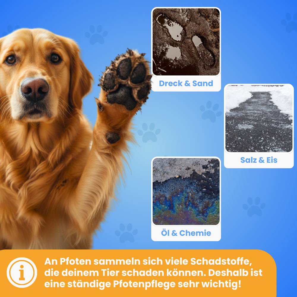 Der PfotenRein von Pfoties® reinigt die Pfoten nach einem Spaziergang blizschnell. Pfote rein, einmal drehen und fertig. Somit schleppt dein Hund keinen Dreck mit nach Hause und seine Pfoten sind geschützt vor Infektionen.