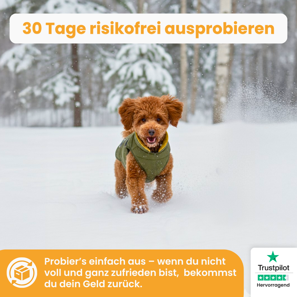 FellWärmer - Premium Wintermantel für Hunde