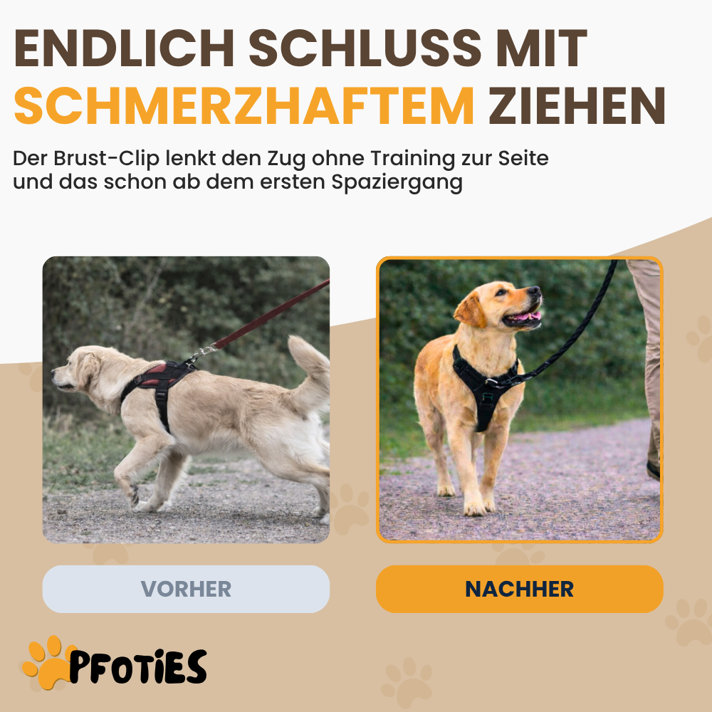 GassiHeld Anti-Zieh-Geschirr | Pfoties®