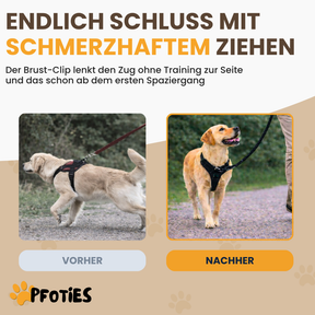 GassiHeld Anti-Zieh-Geschirr | Pfoties®