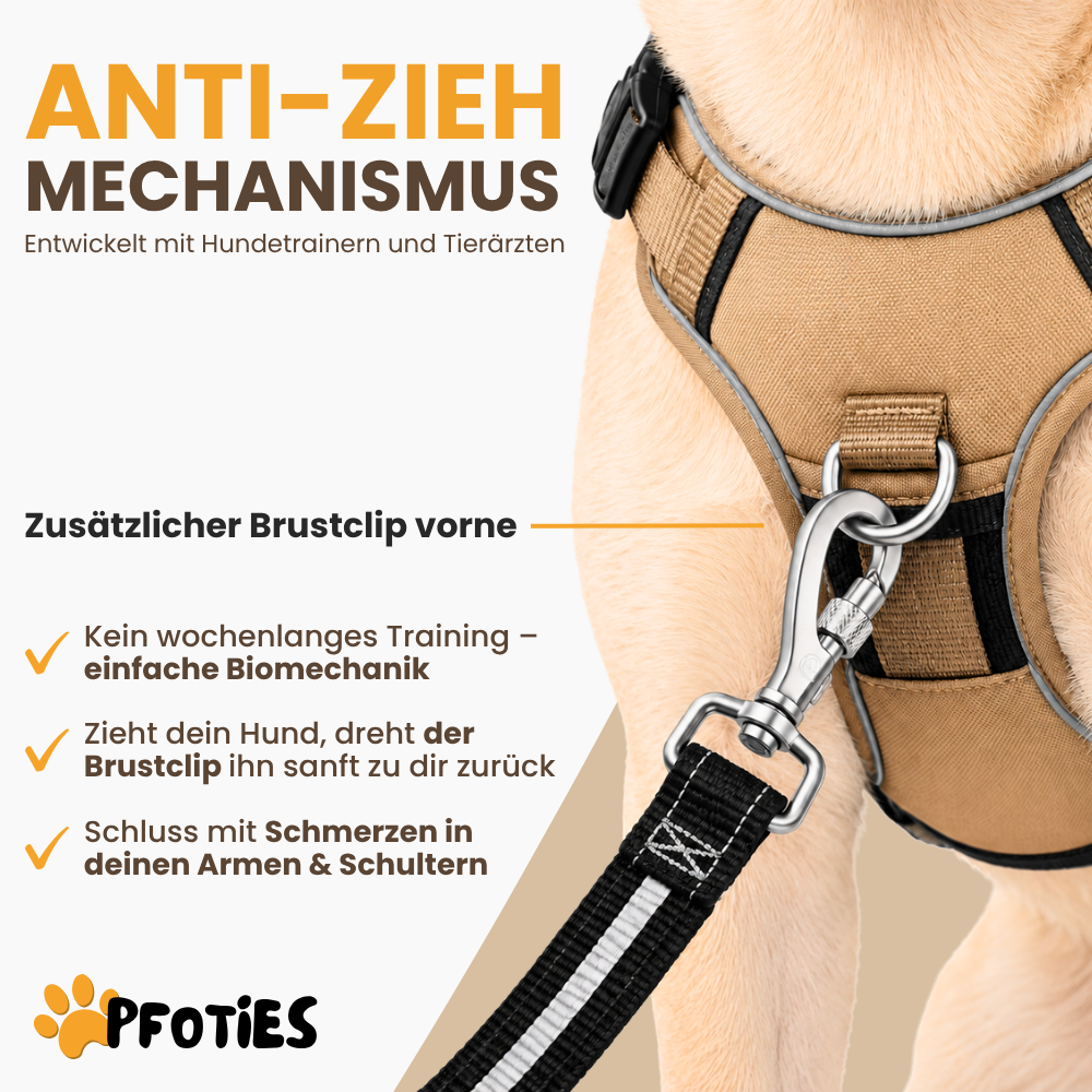 GassiHeld Anti-Zieh-Geschirr | Pfoties®