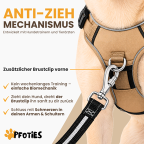 GassiHeld Anti-Zieh-Geschirr | Pfoties®