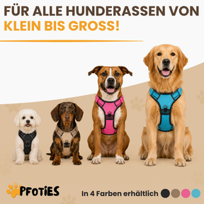 GassiHeld Anti-Zieh-Geschirr | Pfoties®