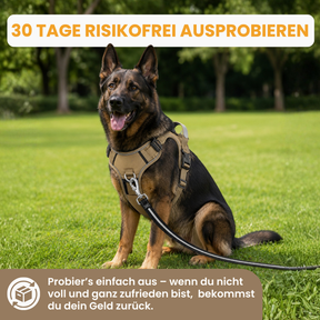 GassiHeld Anti-Zieh-Geschirr | Pfoties®