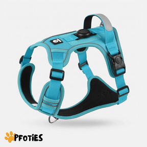 GassiHeld Anti-Zieh-Geschirr | Pfoties®