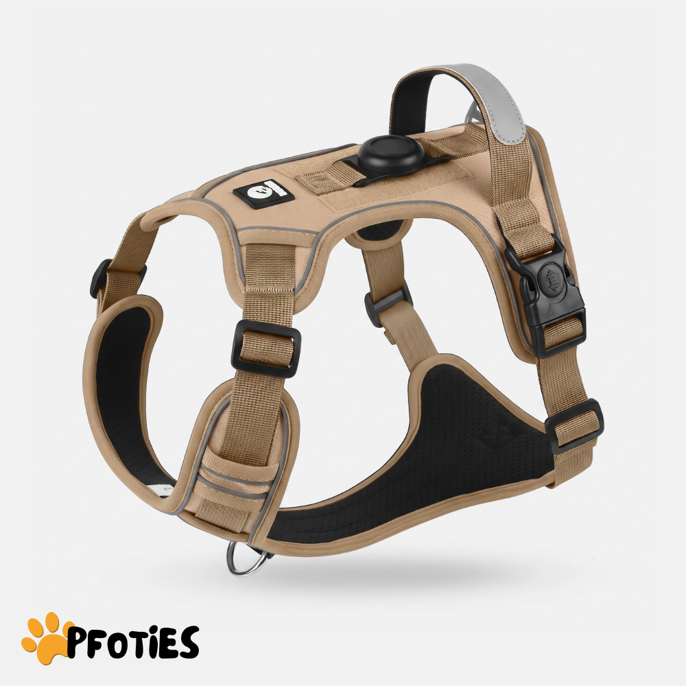 GassiHeld Anti-Zieh-Geschirr | Pfoties®